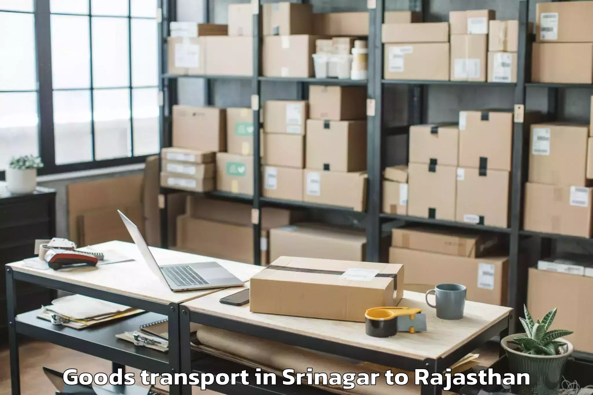 Leading Srinagar to Udaipur Airport Udr Goods Transport Provider